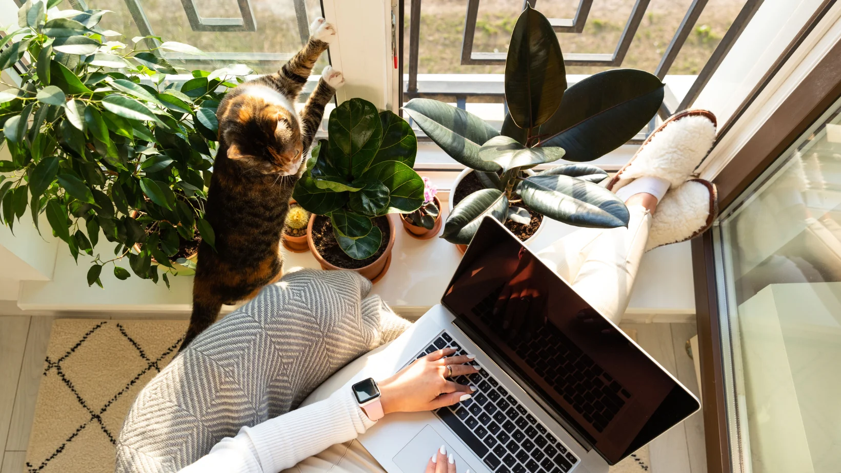 The Best Air-Purifying Plants - A Guide to a Healthy Home